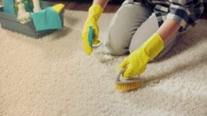 carpet cleaning