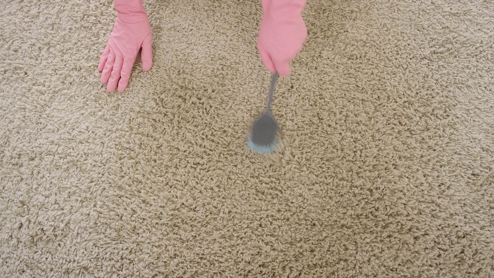 carpet cleaning