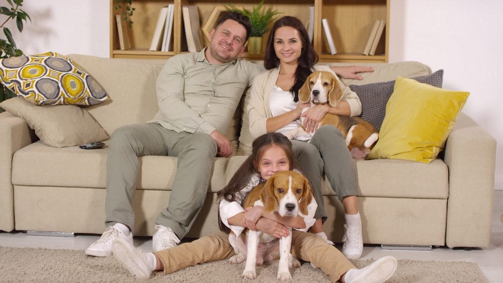 How Professional Carpet Cleaning Can Help Neutralize Pet Odors for Good