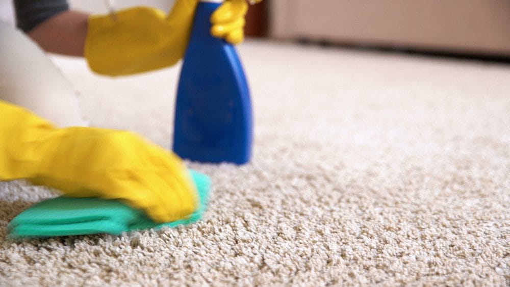 Spring Cleaning: Don’t Forget the Upholstery and Rugs